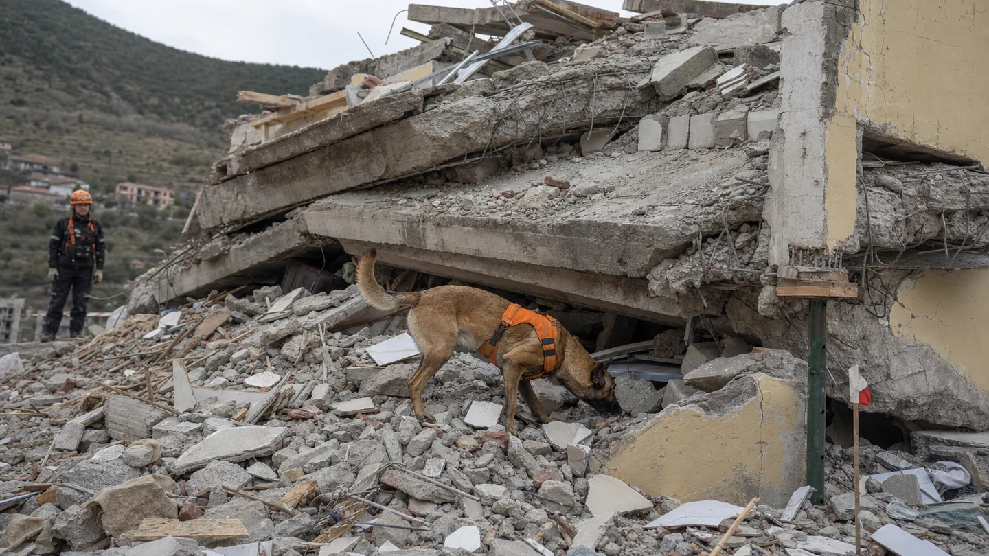 Pastor belga malinois buscando entre restos de mampostería dañados por un terremoto bajo la supervisión de un guía de rescate